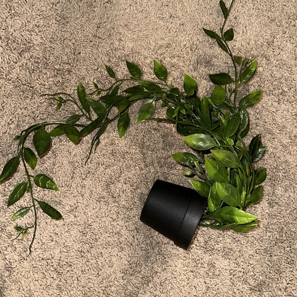 Artificial plant vine, potted